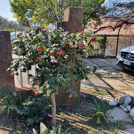 Rio Verde Vista Lago Villa *